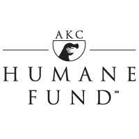 Editorial: August 19, 2022